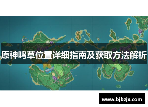 原神鸣草位置详细指南及获取方法解析